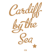 DUI Lawyer cardiff by the sea