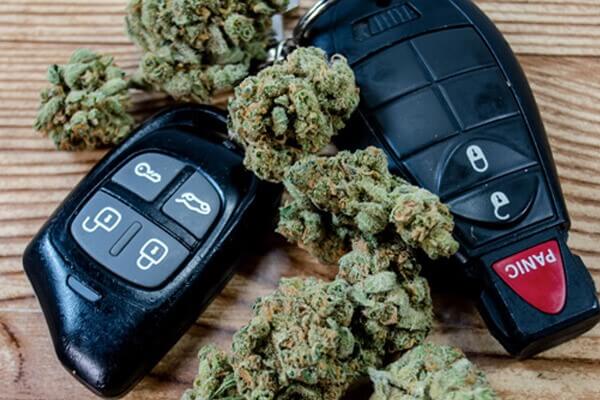 driving and cannabis ramona